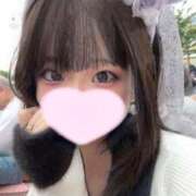 ヒメ日記 2025/11/18 08:19 投稿 ことり ウルトラドリーム