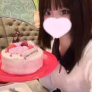 ヒメ日記 2025/11/18 12:44 投稿 ことり ウルトラドリーム