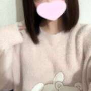 ヒメ日記 2025/11/19 08:20 投稿 ことり ウルトラドリーム