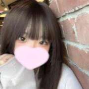 ヒメ日記 2025/11/22 17:09 投稿 ことり ウルトラドリーム