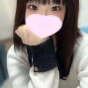 ヒメ日記 2025/12/30 08:19 投稿 ことり ウルトラドリーム