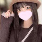 ことり ✨️くっつき虫✨️ ウルトラドリーム