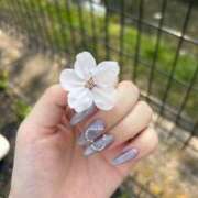 ヒメ日記 2026/04/09 18:42 投稿 みなの奥様 なすがママされるがママ川越