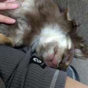 ヒメ日記 2025/06/21 01:08 投稿 みづき 錦糸町 夜這右衛門娼店～夜這・即尺・痴漢・人妻～