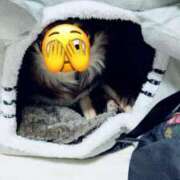 ヒメ日記 2026/01/22 16:49 投稿 みづき 錦糸町 夜這右衛門娼店～夜這・即尺・痴漢・人妻～