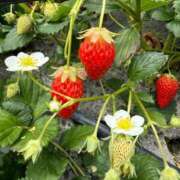 ヒメ日記 2025/04/07 19:16 投稿 かんな feel＆airi