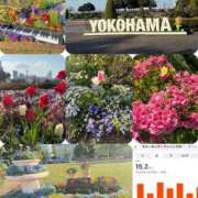 ヒメ日記 2025/04/16 21:56 投稿 かんな feel＆airi