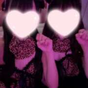 ヒメ日記 2025/04/26 18:31 投稿 おとは ∞ (はっち)