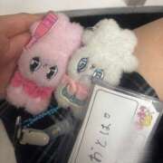 ヒメ日記 2025/09/19 18:26 投稿 おとは ∞ (はっち)