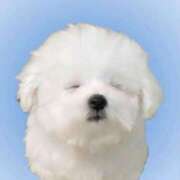 ヒメ日記 2025/07/03 21:29 投稿 初音みろ 奴隷志願！変態調教飼育クラブ本店