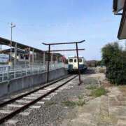 ヒメ日記 2026/03/24 12:43 投稿 みあ まじらぶ！