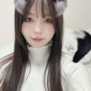 ヒメ日記 2025/03/12 23:33 投稿 のあ ワンダーホール24