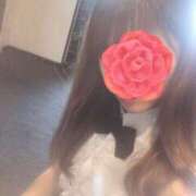 ヒメ日記 2025/03/31 11:19 投稿 れみ ファーストレディ(博多)