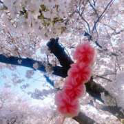 ヒメ日記 2025/04/06 11:42 投稿 れみ ファーストレディ(博多)