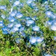 ヒメ日記 2025/04/26 17:02 投稿 れみ ファーストレディ(博多)