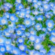 ヒメ日記 2025/04/28 16:52 投稿 れみ ファーストレディ(博多)