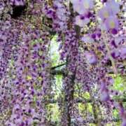 ヒメ日記 2025/04/30 23:02 投稿 れみ ファーストレディ(博多)