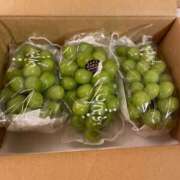 ヒメ日記 2025/07/25 17:02 投稿 れみ ファーストレディ(博多)