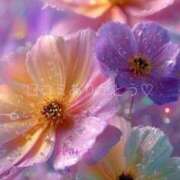 ヒメ日記 2025/08/06 18:57 投稿 れみ ファーストレディ(博多)