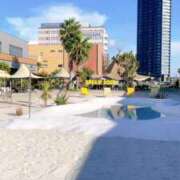 ヒメ日記 2025/08/17 11:52 投稿 れみ ファーストレディ(博多)