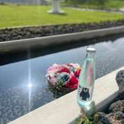 ヒメ日記 2025/09/03 13:42 投稿 れみ ファーストレディ(博多)