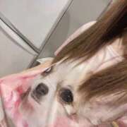 ヒメ日記 2025/10/17 16:12 投稿 れみ ファーストレディ(博多)