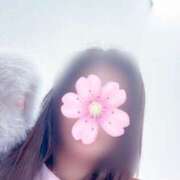 ヒメ日記 2025/04/01 00:00 投稿 満島 ひかり 熟女・人妻マダム宮殿