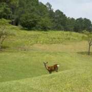 ヒメ日記 2025/08/30 12:49 投稿 満島 ひかり 熟女・人妻マダム宮殿