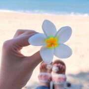 ヒメ日記 2025/09/28 10:06 投稿 満島 ひかり 熟女・人妻マダム宮殿