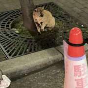 ヒメ日記 2026/01/15 22:15 投稿 ふみ clubさくら梅田店