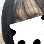 ヒメ日記 2026/02/03 12:05 投稿 ふみ clubさくら梅田店