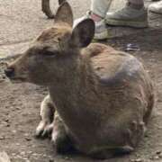 ヒメ日記 2026/02/27 20:25 投稿 ふみ clubさくら梅田店