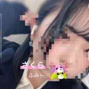 ヒメ日記 2026/03/27 11:45 投稿 ふみ clubさくら梅田店