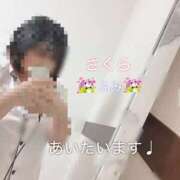 ヒメ日記 2026/03/31 12:15 投稿 ふみ clubさくら梅田店