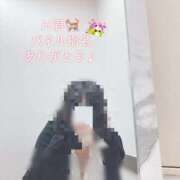 ヒメ日記 2026/03/31 14:05 投稿 ふみ clubさくら梅田店