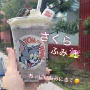 ヒメ日記 2026/04/02 13:55 投稿 ふみ clubさくら梅田店