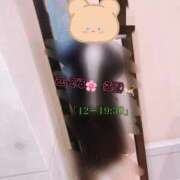 ヒメ日記 2026/04/12 11:55 投稿 ふみ clubさくら梅田店