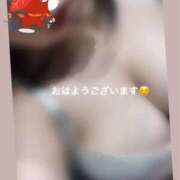 ヒメ日記 2026/06/29 11:55 投稿 ふみ clubさくら梅田店