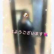 ヒメ日記 2026/07/07 11:55 投稿 ふみ clubさくら梅田店