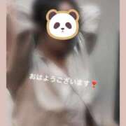 ヒメ日記 2026/07/13 11:55 投稿 ふみ clubさくら梅田店