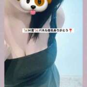 ヒメ日記 2026/08/29 14:55 投稿 ふみ clubさくら梅田店