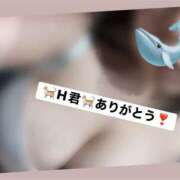 ヒメ日記 2026/08/31 19:05 投稿 ふみ clubさくら梅田店