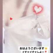 ヒメ日記 2026/09/24 14:45 投稿 ふみ clubさくら梅田店