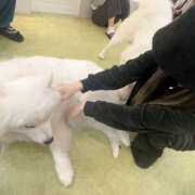 ヒメ日記 2025/11/19 23:17 投稿 わこ ピンキーエコ