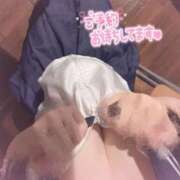ヒメ日記 2026/08/07 18:20 投稿 そら S級鑑定団
