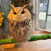 ヒメ日記 2025/12/15 14:09 投稿 宇多田 熟女の風俗最終章　鶯谷店