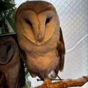 ヒメ日記 2025/12/22 16:06 投稿 宇多田 熟女の風俗最終章　鶯谷店