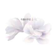 ヒメ日記 2025/05/18 22:26 投稿 しいな 池袋マリン本店