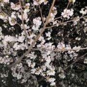 ヒメ日記 2025/04/07 17:26 投稿 てん ドM女学園大阪