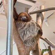 ヒメ日記 2025/12/14 09:05 投稿 井上千里 こあくまな熟女たち岩国店(KOAKUMAグループ)